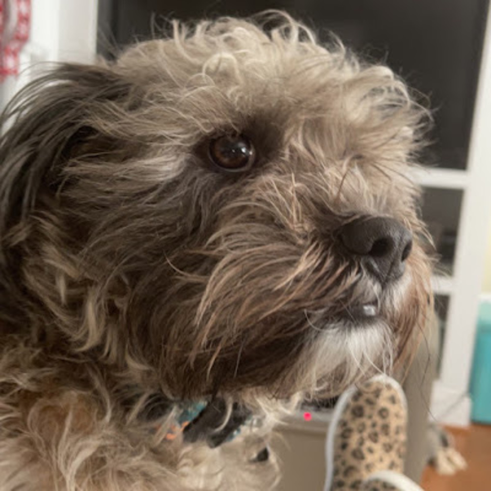 Meet your Posher, Sandy
